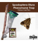 Chipku Spodoptera Litura Lure (Pack of 10)